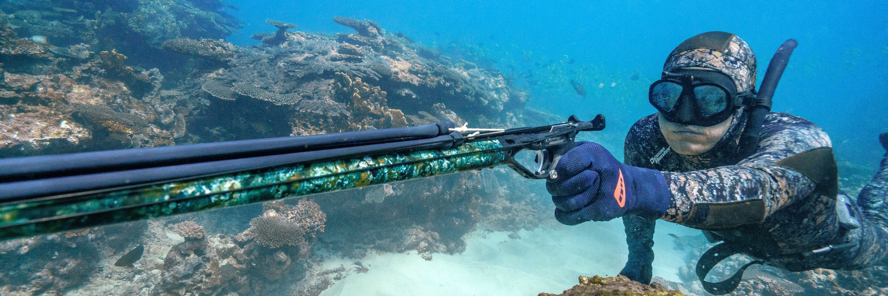 Dive Torches