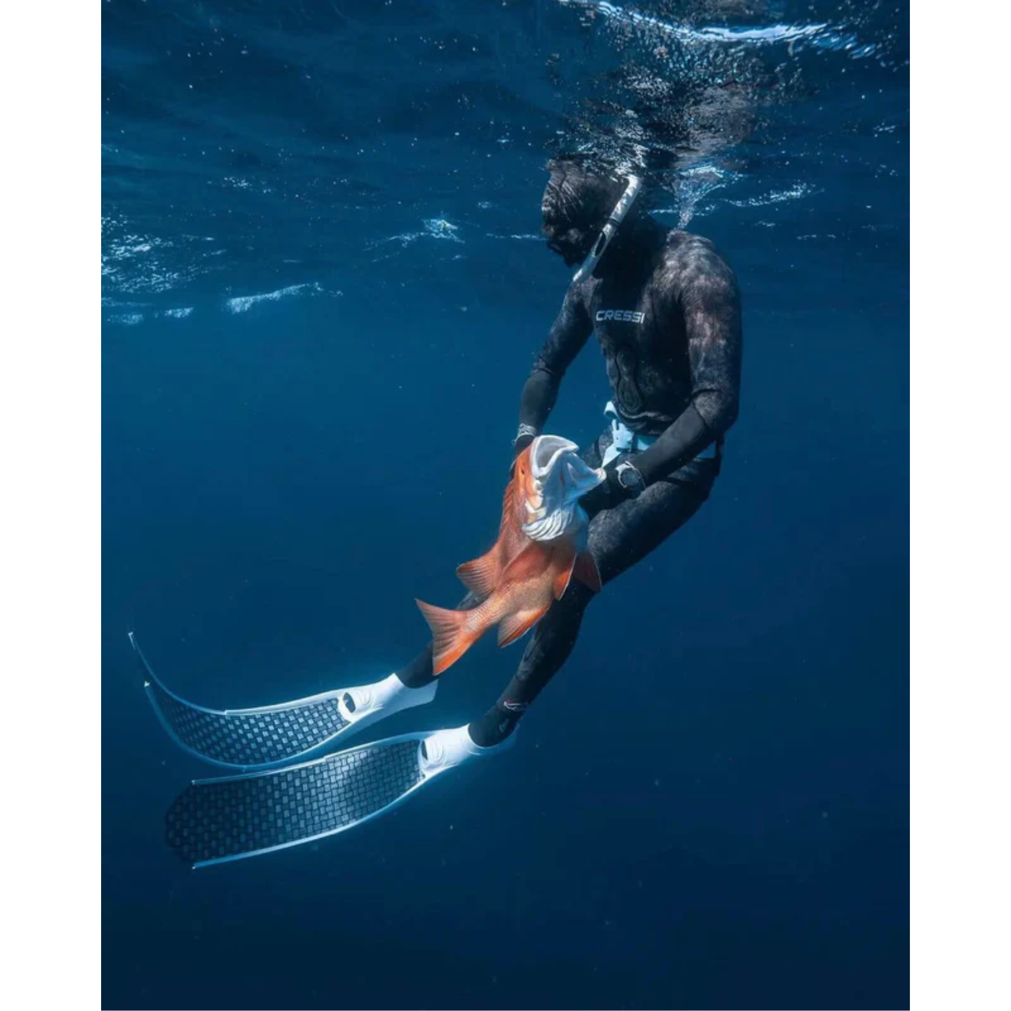 DiveR - Fin Blades - V2 - Innegra