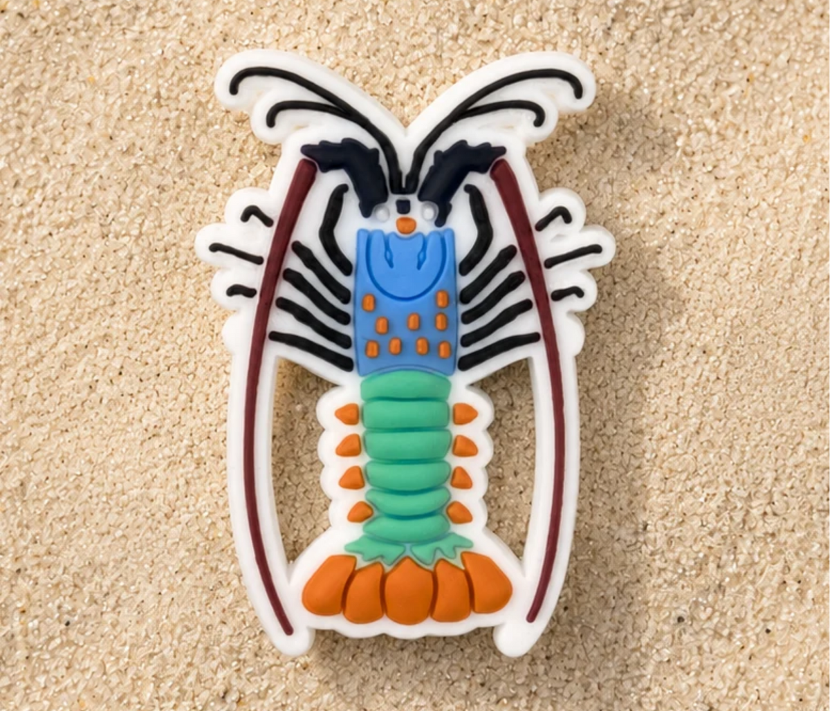 Reef Lagoon - Individual Charms - Assorted