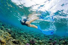 Cressi - Agua Fins Kids - Aqua image 1