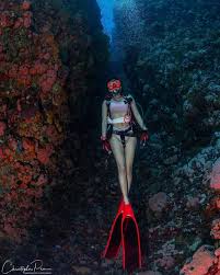 Penetrator - Composite Fin Blades - Red Ghost image 1