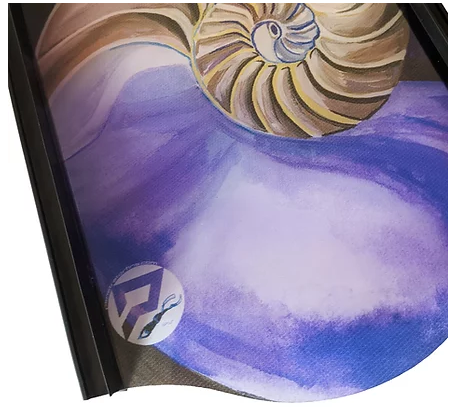 Penetrator - Composite Fin Blades - Nautilidae image 1