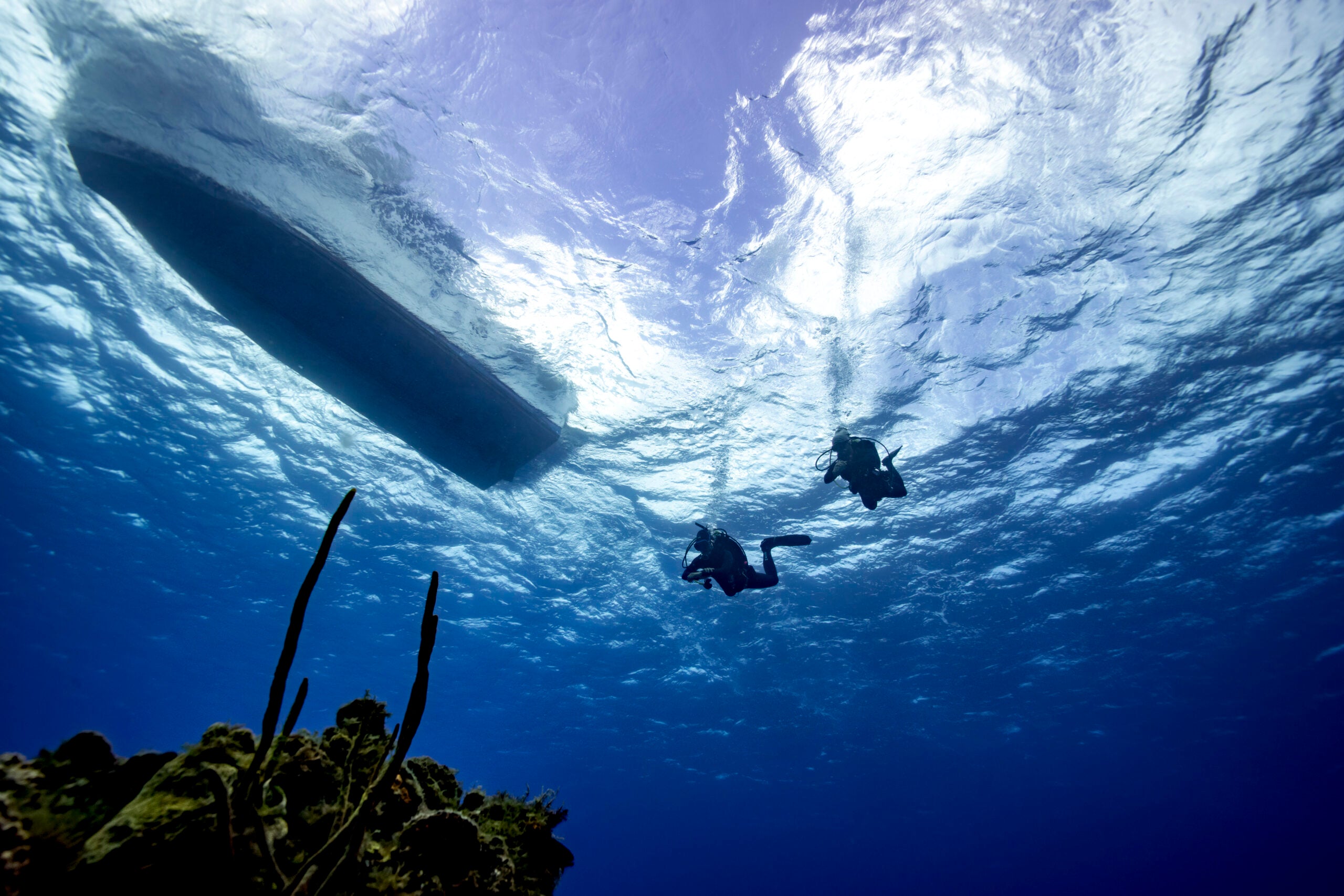 Garmin - inReach Mini 2 image 4