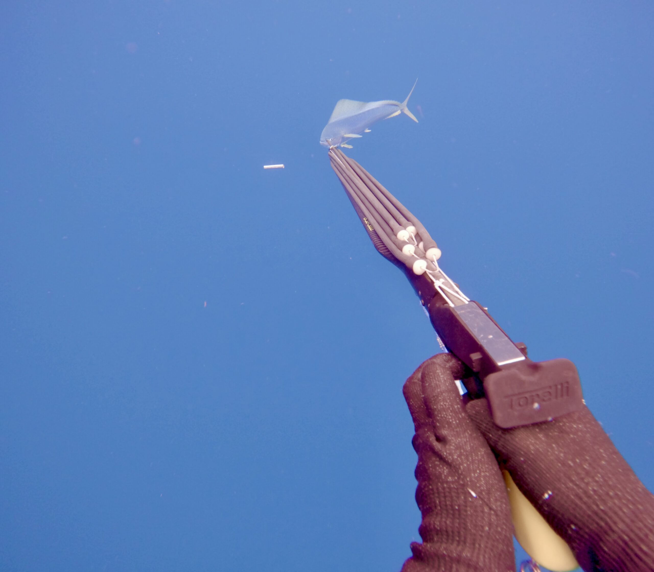 Throw Flashers - Assorted Throw Flashers image 4