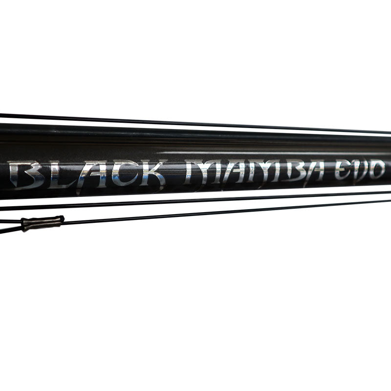 Rob Allen - Black Mamba Evo Railgun image 2