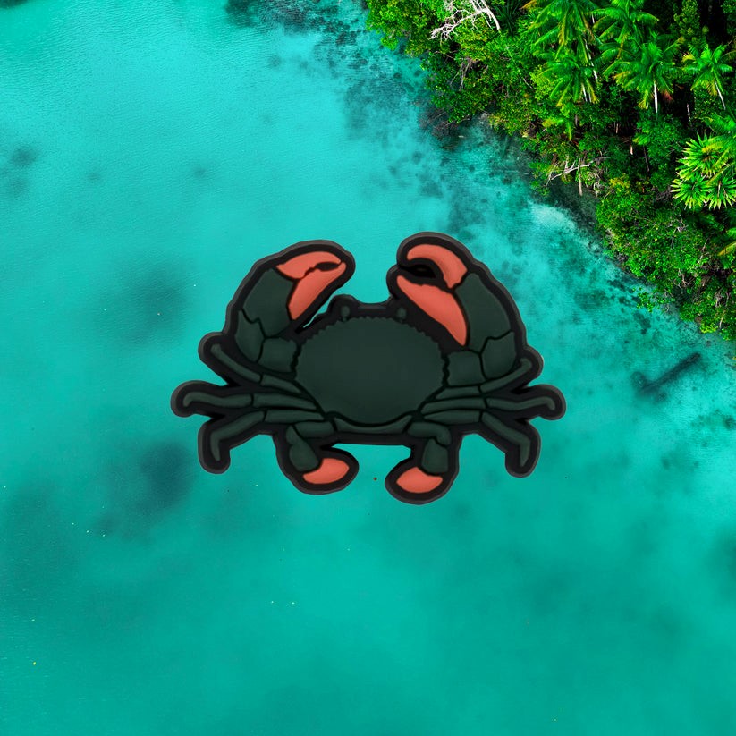 Reef Lagoon - Individual Charms - Assorted - Image 4