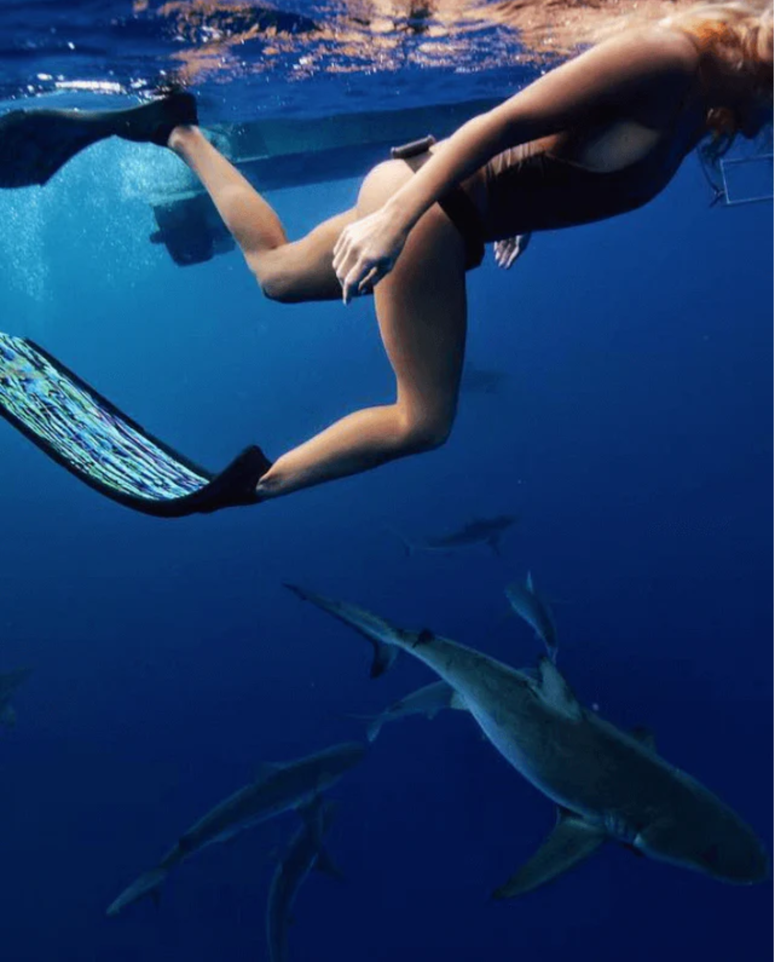 DiveR - Fin Blades - Innegra - Paua - Image 4